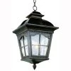Briarwood 3-Light Antique Rust Hanging Outdoor Pendant Light with Water Glass by Bel Air Lighting -GlowNest Shop antique rust bel air lighting outdoor pendant lights 5421 ar 64 1000