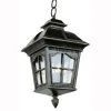 Briarwood 4-Light Antique Rust Hanging Outdoor Pendant Light with Water Glass by Bel Air Lighting