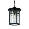 Avalon 11 in. 1-Light Black Hanging Outdoor Pendant Light with Crackled Glass by Bel Air Lighting