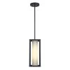 Adler 1-Light Black Outdoor Pendant Light with Clear and Frosted Glass by Bel Air Lighting