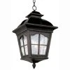 Briarwood 3-Light Black Hanging Outdoor Pendant Light with Water Glass by Bel Air Lighting -GlowNest Shop black bel air lighting outdoor pendant lights 5421 bk 64 1000